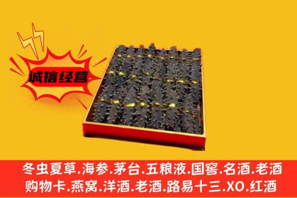 鄂温克族旗回收海参